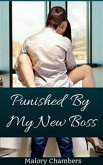 Punished By My New Boss (eBook, ePUB)