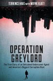 Operation Greylord (eBook, ePUB)