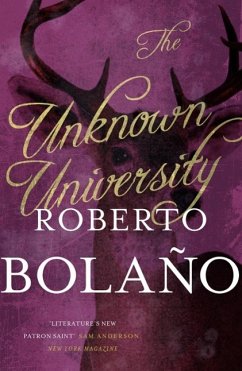 The Unknown University (eBook, ePUB) - Bolaño, Roberto