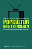 Popkultur und Fernsehen (eBook, PDF)