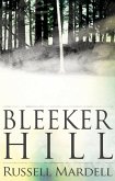 Bleeker Hill (eBook, ePUB)