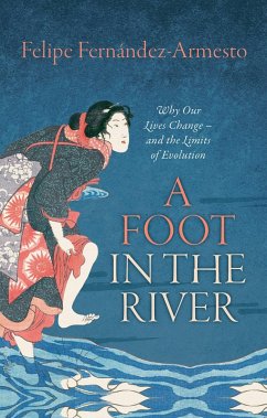 Cover A Foot in the River (eBook, PDF)