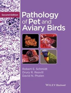 Pathology of Pet and Aviary Birds (eBook, PDF) - Schmidt, Robert E.; Reavill, Drury R.; Phalen, David N.