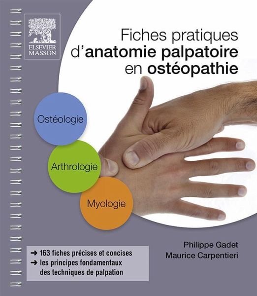 Fiches pratiques d'anatomie palpatoire en ostéopathie (eBook, ePUB)