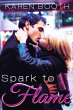 Spark to Flame (eBook, ePUB) - Bild 1