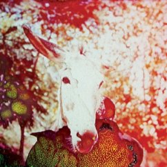 Cover If He Dies,If If If If If If (Vinyl)