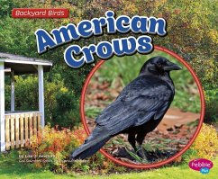 American Crows - Amstutz, Lisa J.