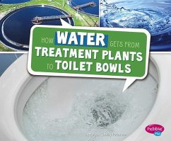 How Water Gets from Treatment Plants to Toilet Bowls - Peterson, Megan Cooley