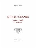 Giulio Cesare, l'acqua calda ce l'aveva. (eBook, ePUB)