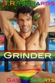 Grinder (Gay Shorts) (eBook, ePUB)