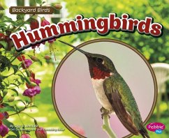 Hummingbirds - Amstutz, Lisa J.