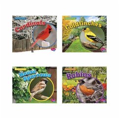 Backyard Birds - Amstutz, Lisa J.