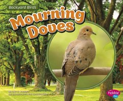 Mourning Doves - Amstutz, Lisa J.