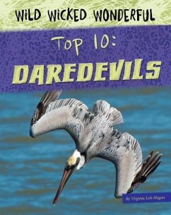 Daredevils - Loh-Hagan, Virginia