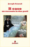 Il caso - un racconto in due parti (eBook, ePUB)