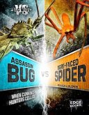 Assassin Bug vs. Ogre-Faced Spider: When Cunning Hunters Collide