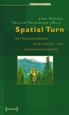 Spatial Turn (eBook, PDF)