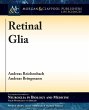 Retinal Glia - Bild 1