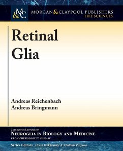 Retinal Glia - Reichenbach, Andreas; Bringmann, Andreas