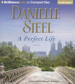 A Perfect Life - Steel, Danielle