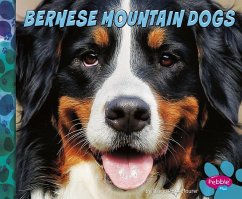 Bernese Mountain Dogs - Morey, Allan