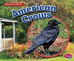 American Crows - Amstutz, Lisa J