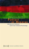 Pursuit of Meaning (eBook, PDF)