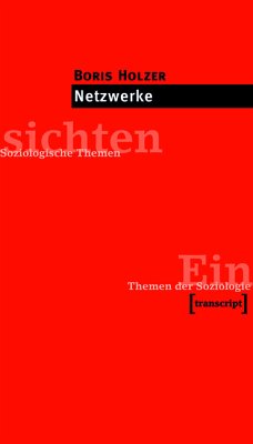 Netzwerke (eBook, PDF) - Holzer, Boris