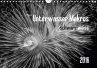 Unterwasser Makros - schwarz weiss 2016 (Wandkalender 2016 DIN A4 quer) - Weber-Gebert, Claudia