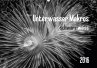 Unterwasser Makros - schwarz weiss 2016 (Wandkalender 2016 DIN A2 quer) - Weber-Gebert, Claudia