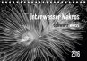 Unterwasser Makros - schwarz weiss 2016 (Tischkalender 2016 DIN A5 quer) - Weber-Gebert, Claudia
