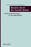 Que(e)r durch die Soziale Arbeit (eBook, PDF)