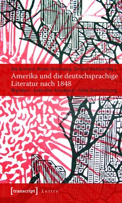 Amerika und die deutschsprachige Literatur nach 1848 (eBook, PDF)