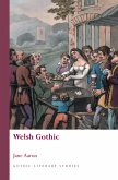 Welsh Gothic (eBook, ePUB)