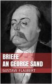 Briefe an George Sand (eBook, ePUB)
