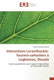 Interactions Loranthacées-fourmis-safoutiers à Logbessou, Douala