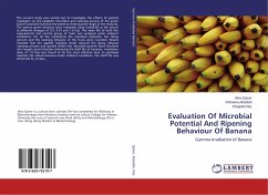 Evaluation Of Microbial Potential And Ripening Behaviour Of Banana