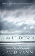 A Mile Down (eBook, ePUB) - Bild 1