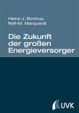 Die Zukunft der großen Energieversorger (eBook, PDF)