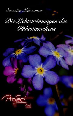 Die Lichtströmungen des Glühwürmchens (eBook, ePUB) - Meissonier, Sassette