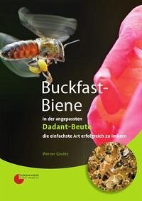 Buckfast-Biene in der angepassten Dadant-Beute - Gerdes, Werner