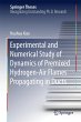Experimental and Numerical Study of... - Bild 1