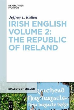 Cover Irish English Volume 2: The Republic of Ireland (eBook, PDF)