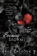 Evening Storm (eBook, ePUB) - Bild 1
