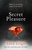 Secret Pleasure (eBook, ePUB)