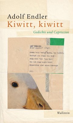 Kiwitt, kiwitt (eBook, PDF) - Endler, Adolf