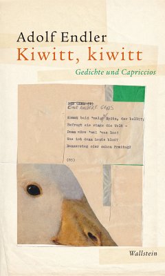 Kiwitt, kiwitt (eBook, ePUB) - Endler, Adolf