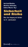 Sicherheit und Risiko (eBook, PDF)