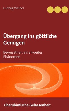 Übergang ins göttliche Genügen (eBook, ePUB) - Weibel, Ludwig