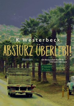 Absturz überlebt! - Westerbeck, Kerstin